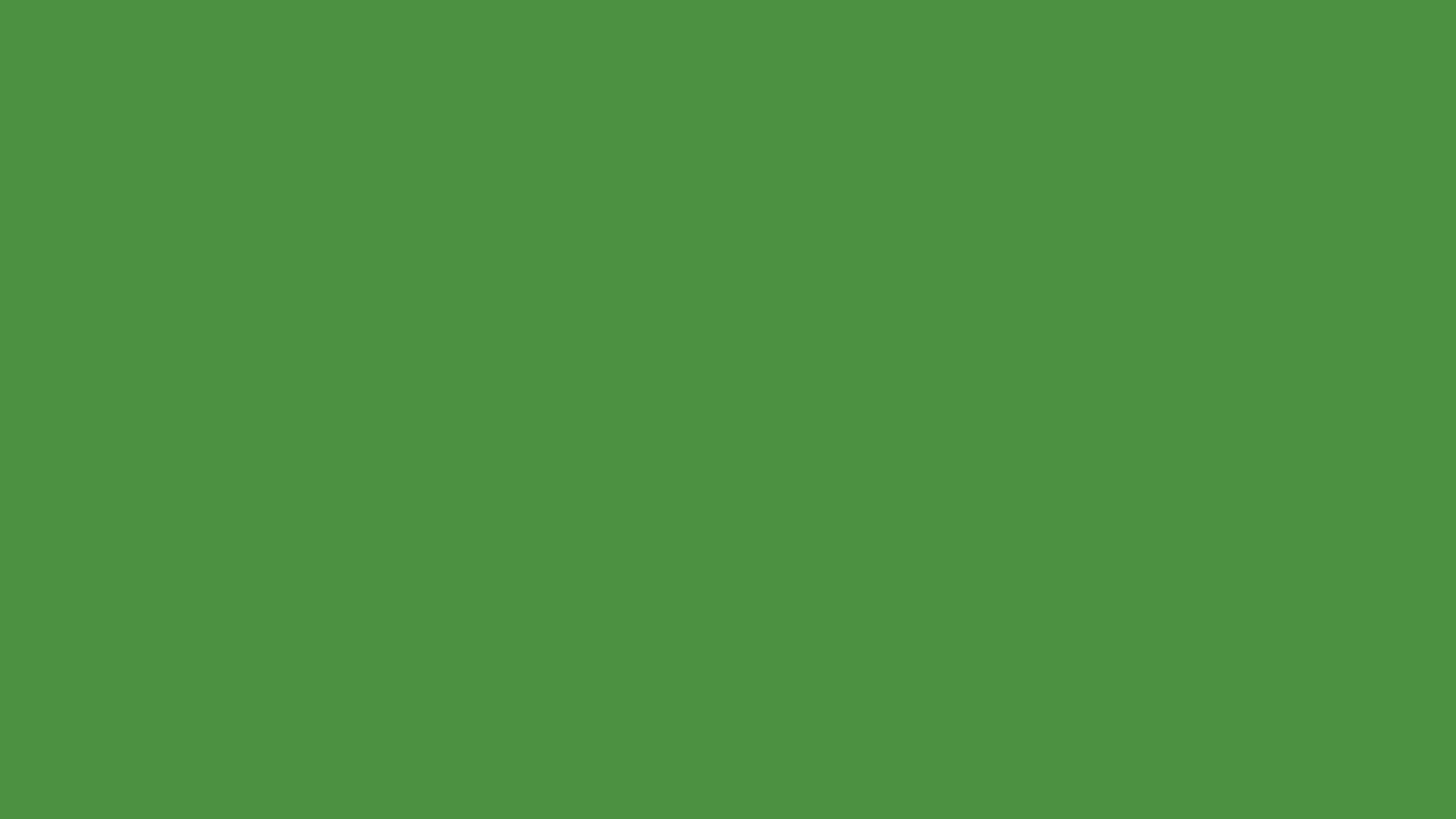 RAL 6017 May green smooth gloss