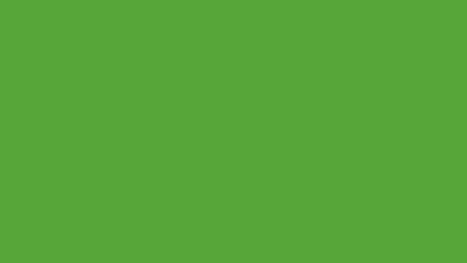 RAL 6018 yellow-green smooth matt
