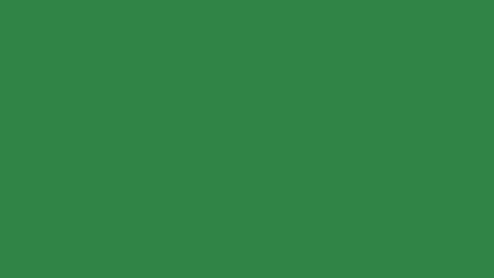 RAL 6024 Traffic green smooth gloss