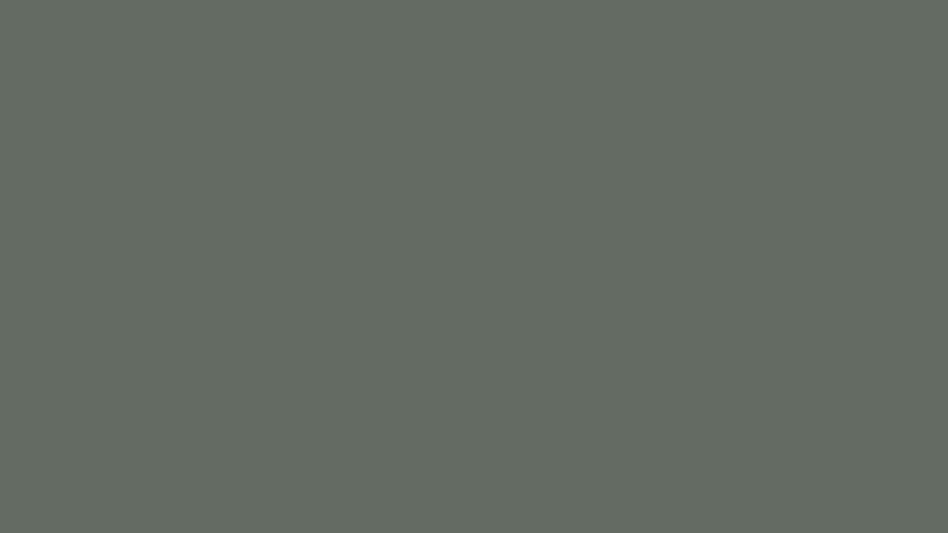 RAL 7005 Mouse grey smooth matt