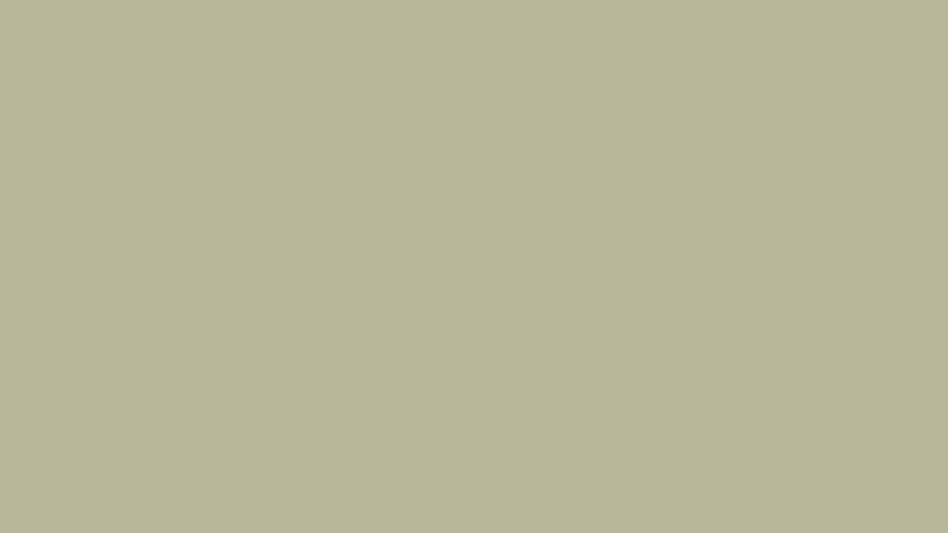 RAL 7032 pebble gray smooth matt