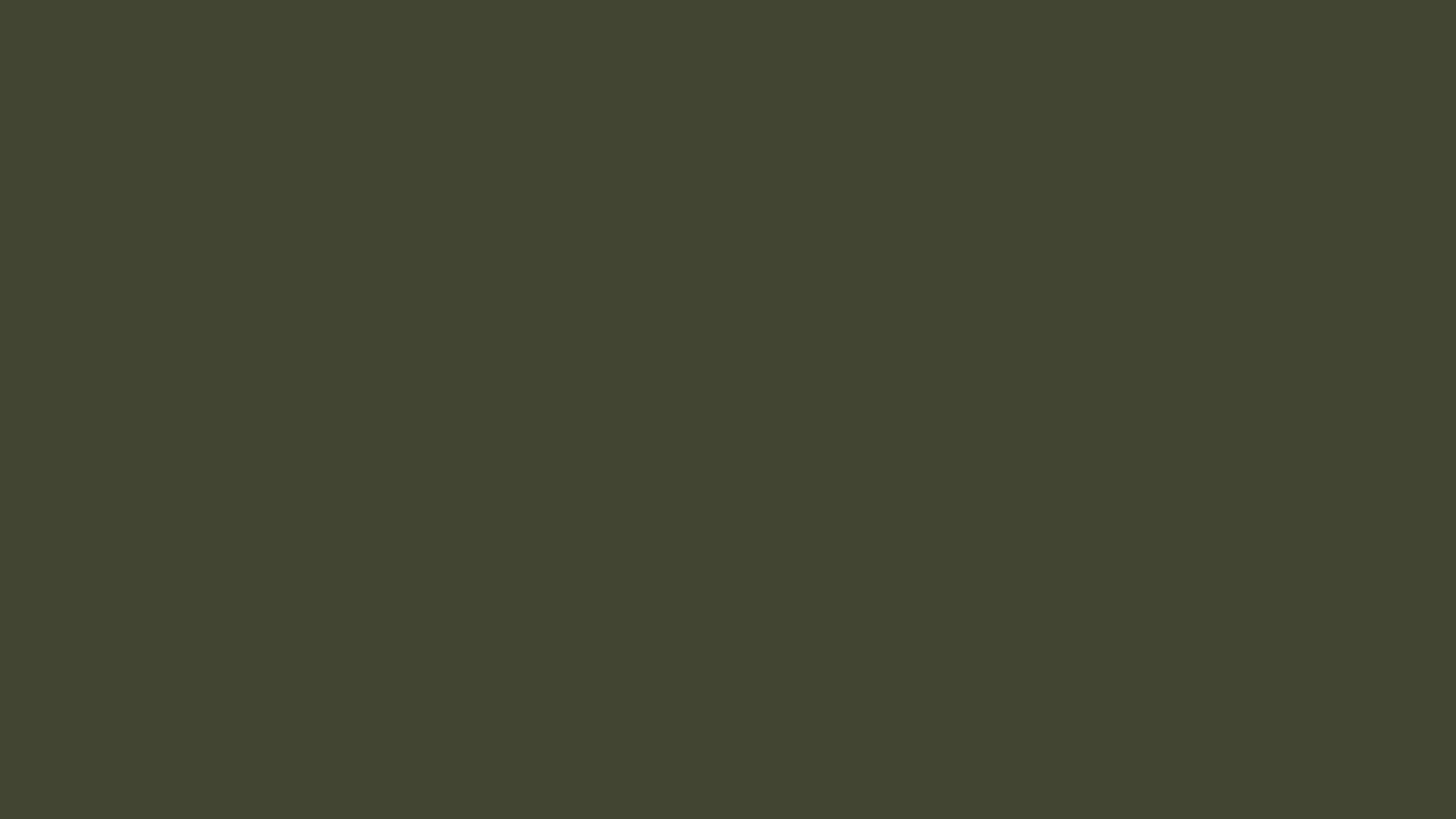 RAL 6003 olive green smooth gloss
