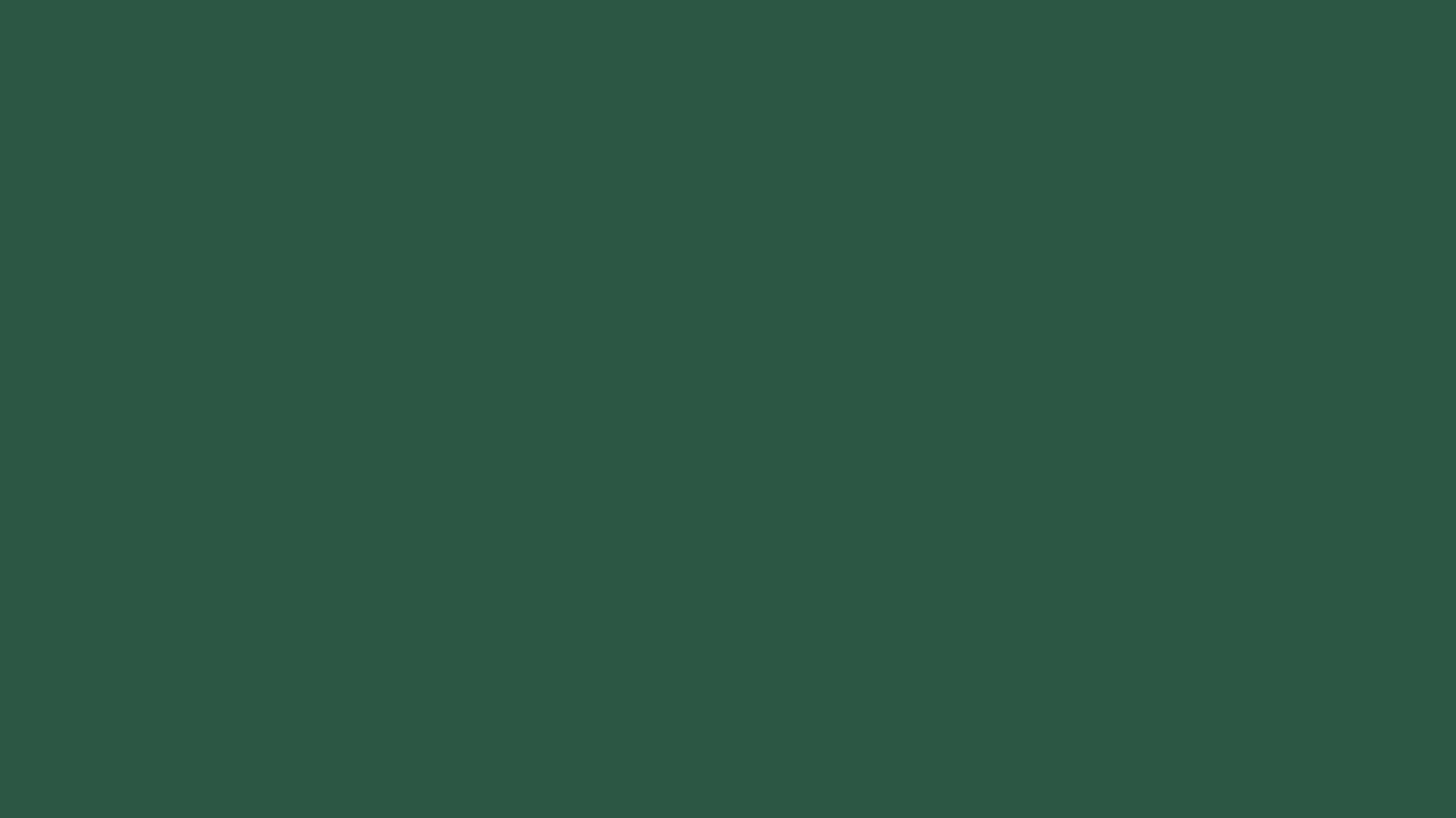 RAL 6028 Pine green smooth gloss