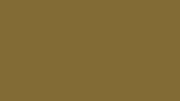 RAL 8000 green-brown smooth gloss